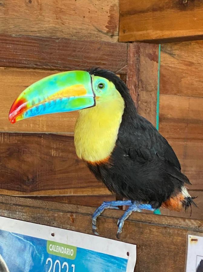 Palm Beach Hostal Guachaca Zewnętrze zdjęcie